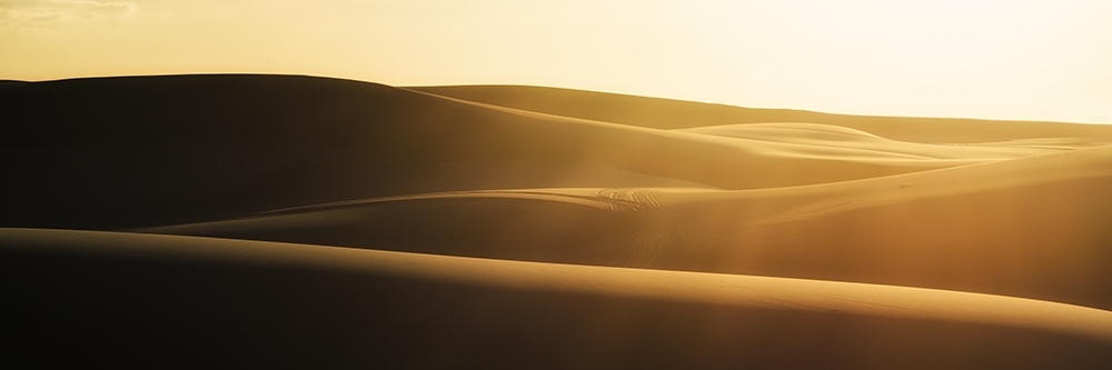 Sand dunes at sunet.
