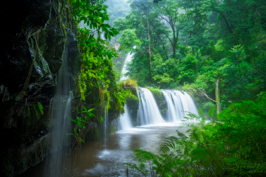 Lush waterfalls in the forest