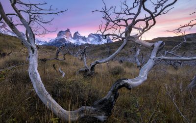 Patagonia – mountains of storms