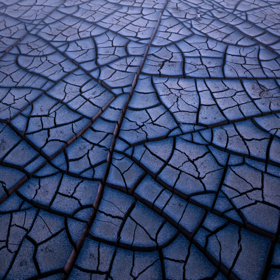 Mud crack textures