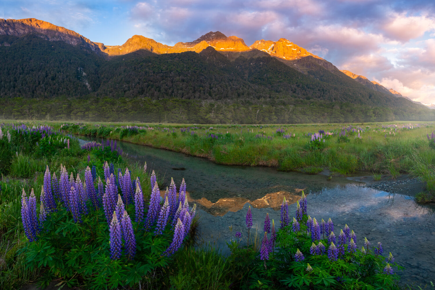 Morning light on the mountains, Fiordland New Zealand