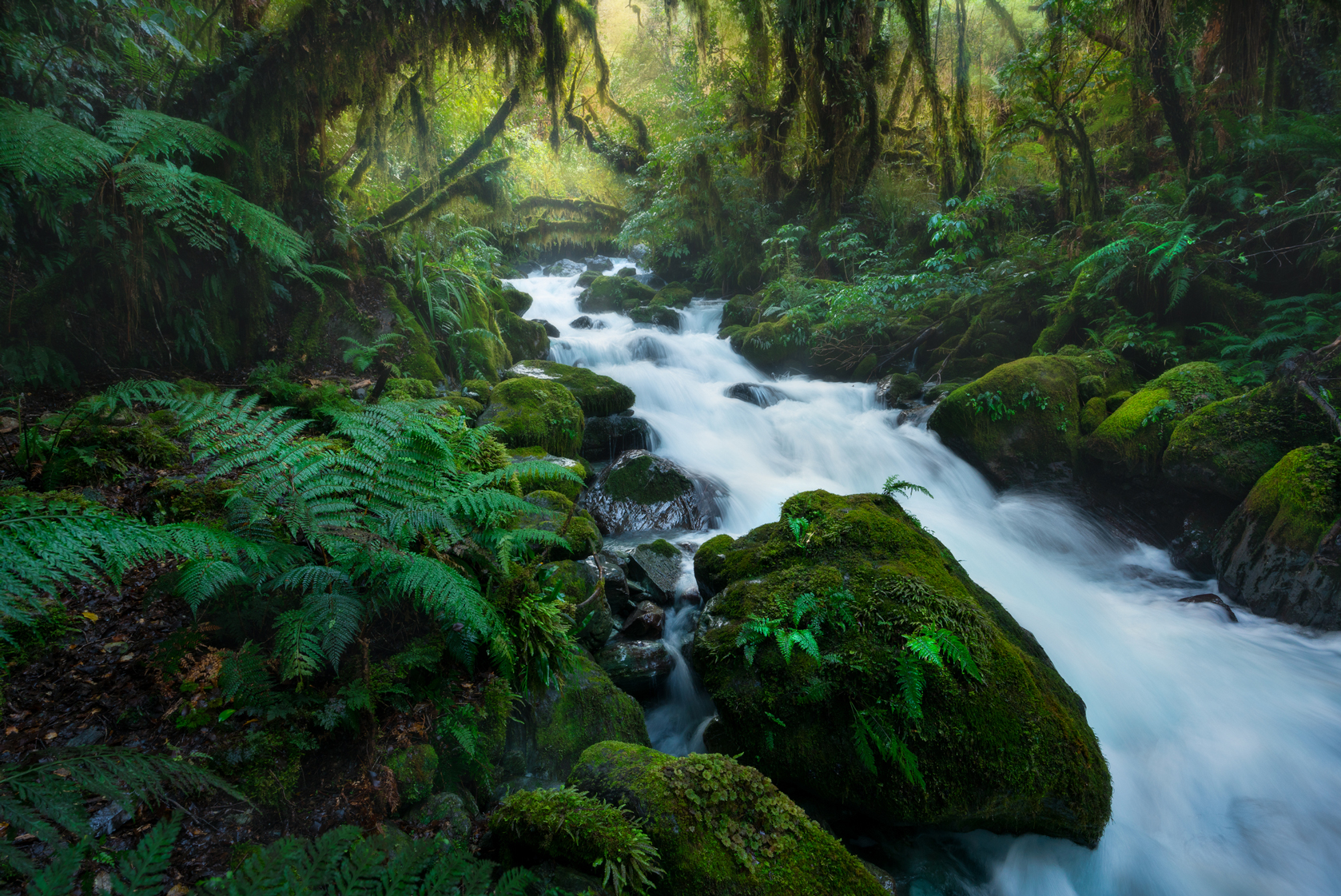 Fiordland lush green cascades and forest. Photography by William Patino.