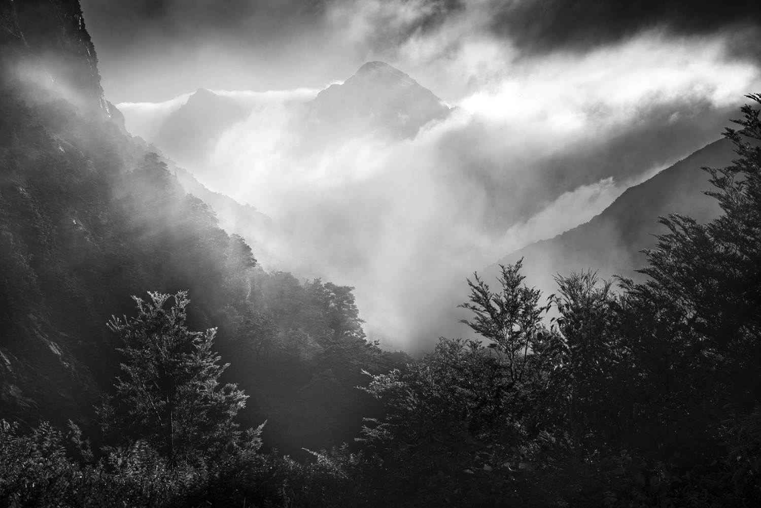Fiordland mountains Hollyford Valley, Copyright William Patino