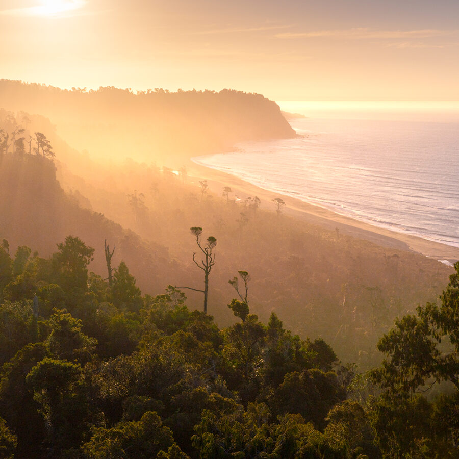 West Coast Beach Wilderness and Forest Copyright William Patino