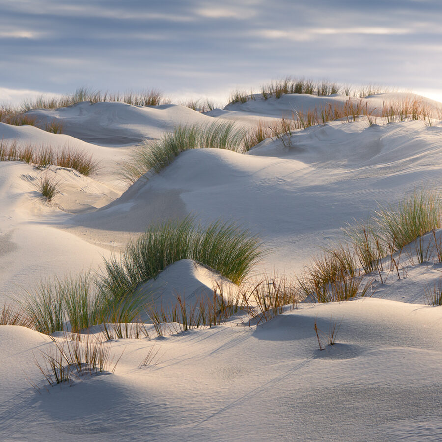 Mason Bay Sand Dunes New Zealand