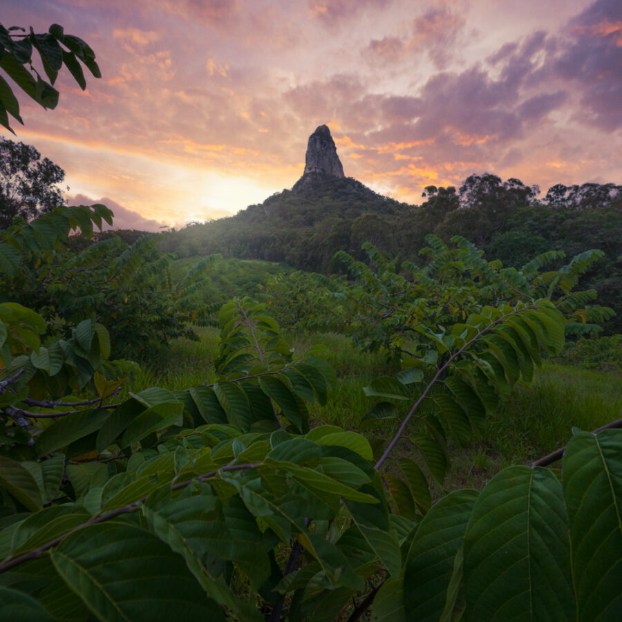 Mount Coonowrin Glasshouse Mountains. Copyright William Patino New Zealand Photographer