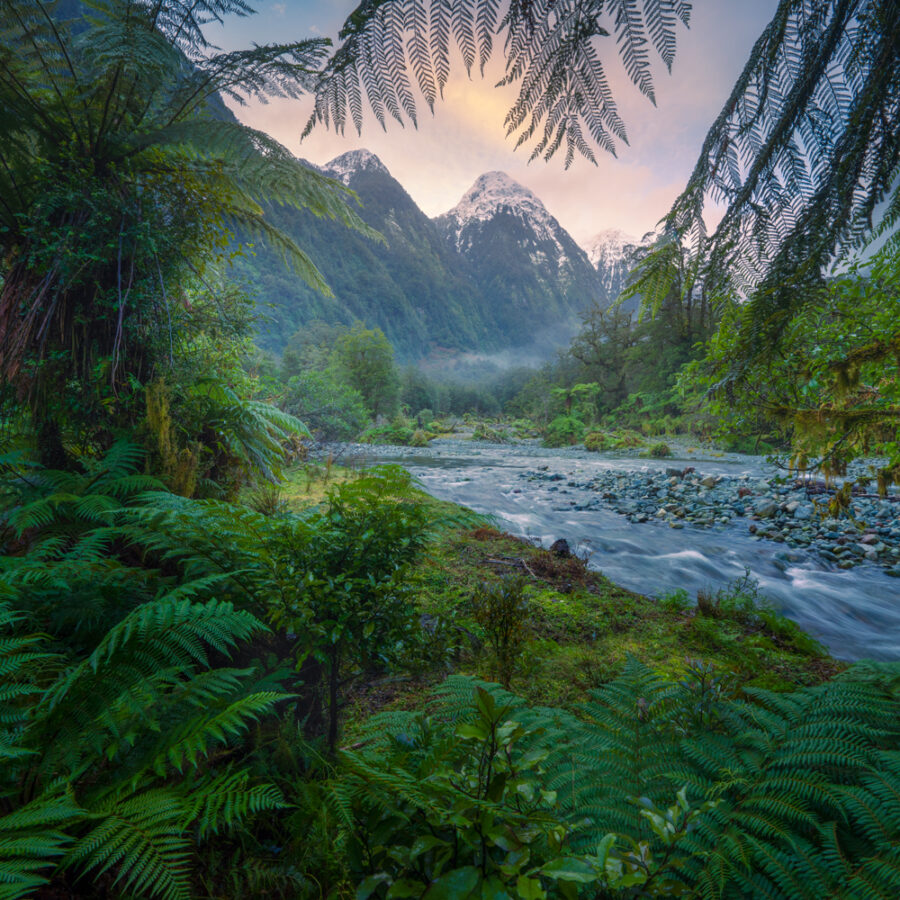 Remote Fiordland Wilderness Broughton Copyright William Patino New Zealand