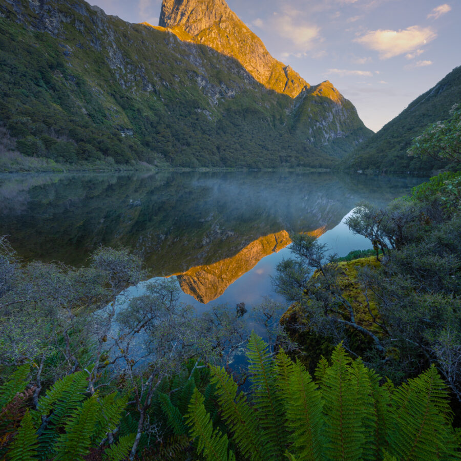 Fiordland mountain lake reflection. Copyright William Patino.